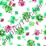 Colour:C