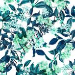 Colour:C