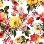 Colour:A