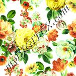 Colour:K