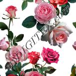 Colour:A