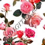Colour:J
