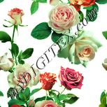 Colour:K