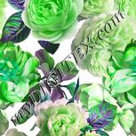 Colour:C