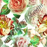 Colour:K