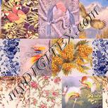 Colour:A