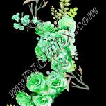 Colour:D