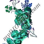 Colour:F