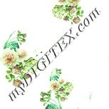 Colour:K