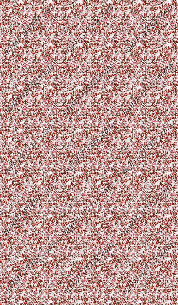 ERW_0020_IND