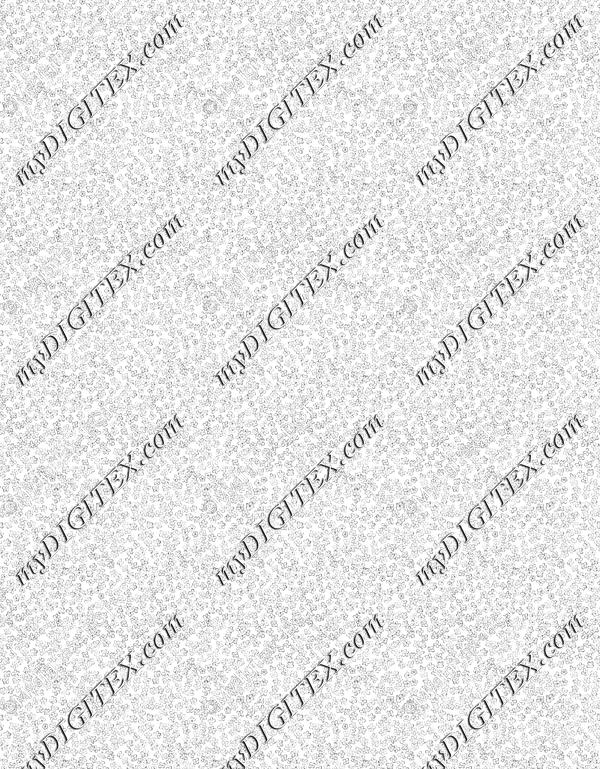 ERW_0021_IND
