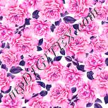 Colour:B