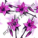 Colour:B