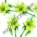 Colour:K