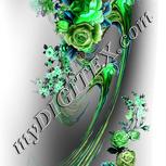 Colour:C
