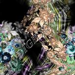 Colour:F