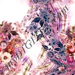 Colour:J