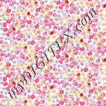 Colour:B