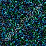 Colour:F