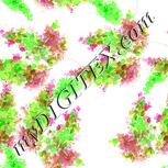 Colour:C