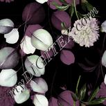 Colour:A