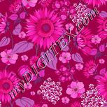 Colour:B