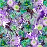 Colour:D