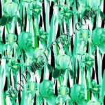 Colour:D