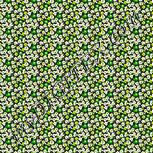 Colour:D