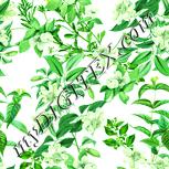 Colour:K