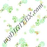 Colour:K