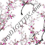 Colour:B