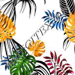Colour:A