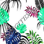 Colour:C