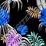 Colour:F