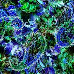 Colour:F