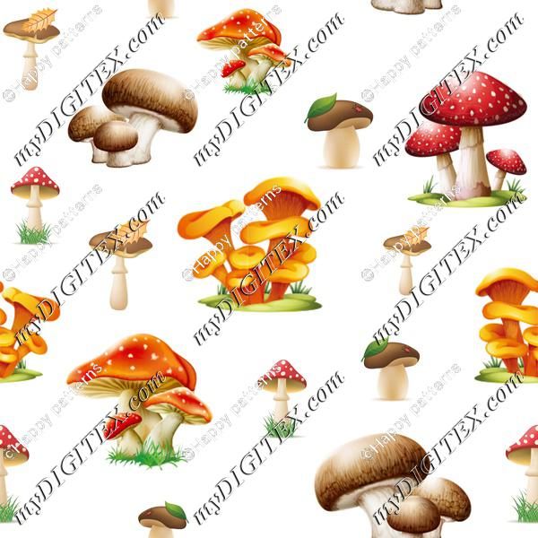 Forest mushrooms on White Autumn