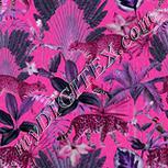 Colour:B