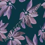 Colour:F