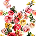 Colour:A