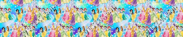 The Princess Castle