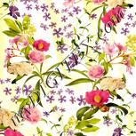 Colour:A