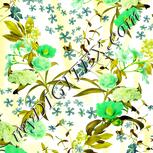 Colour:D