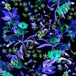 Colour:F