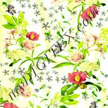 Colour:K