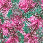Colour:B