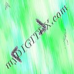 Colour:F