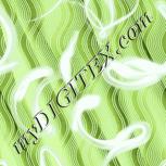 Colour:F