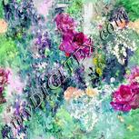 Colour:A