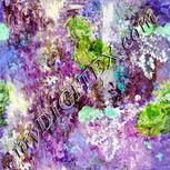 Colour:C